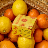 Sun Stone | After Sun Balm & Lotion Bar